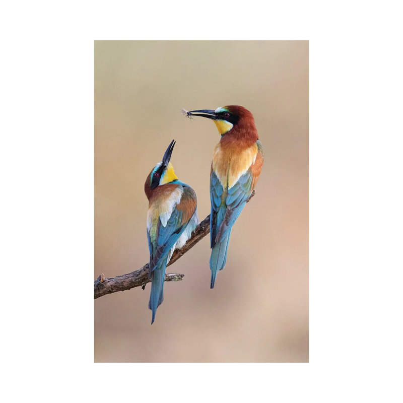 " The Gift " by Paolo Bolla, 18" H x 12" W x 1.5" D