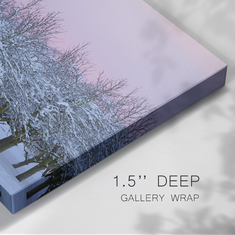 Toile tendue Winter-Beauty, H 12 po x l 18 po