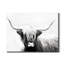 Highland Longhorn - peinture sur toile tendue-2105875447