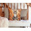 Coussin Selkirk Rex-112679437