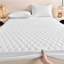 Aspire Homeware Premium Hotel-Style Soft Quilted Mattress Protector with Elastic Fit-1477712959