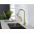 Kitchen Faucets With Pull Down Sprayer-117563225