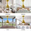 Alessandra Ceiling Fan-466741302-466741303-415991768