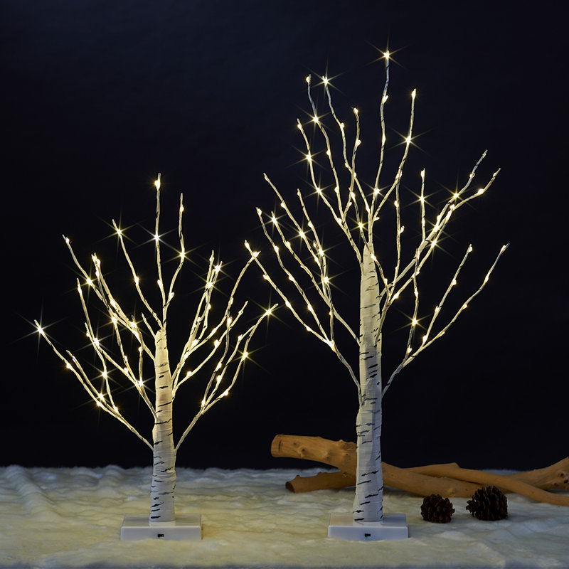 Bouleaux illuminés et branches