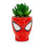 Cactus en pot 5 po