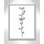 Fleurs simples 4 - reproduction de dessin-55543437-55543430