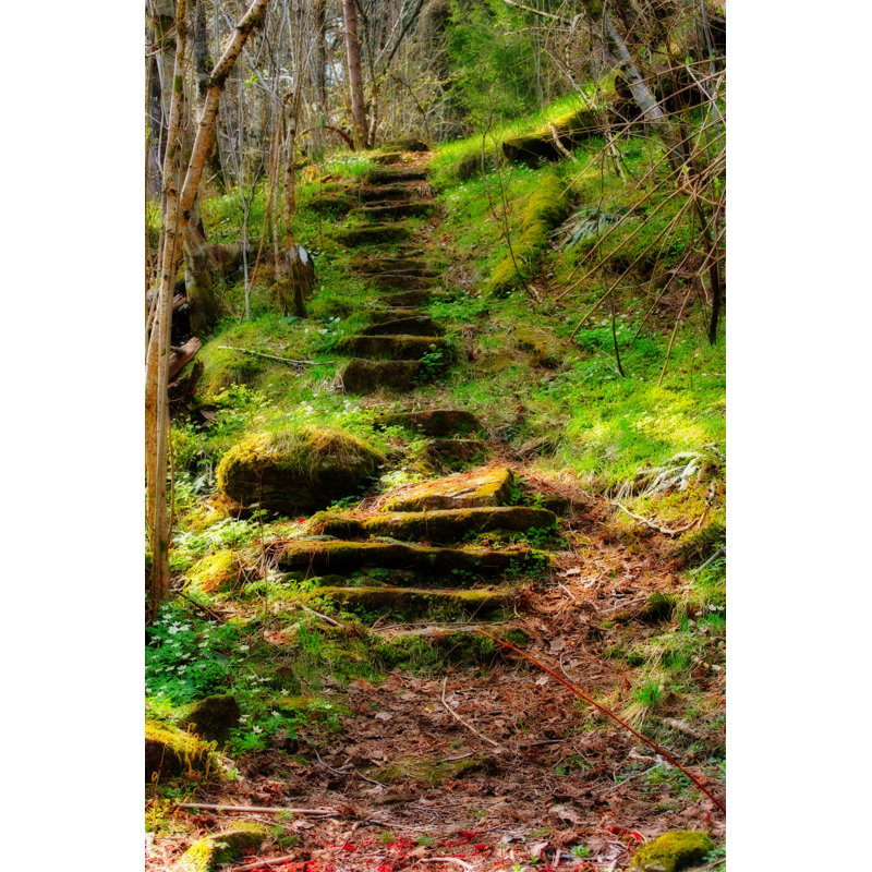 The Path - Wrapped Canvas Print, 30cm H x 20cm W