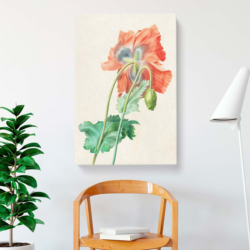 Poppy Flower by Pierre-Joseph Redoute - Wrapped Canvas, 50cm H x 35cm W x 3cm D