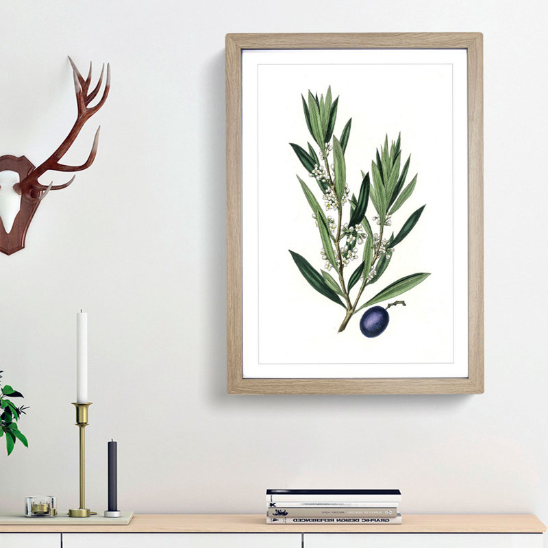 Olive Tree Flowers Illustration - Picture Frame Painting Print, Oak Framed, 36cm H x 27cm W x 2cm D