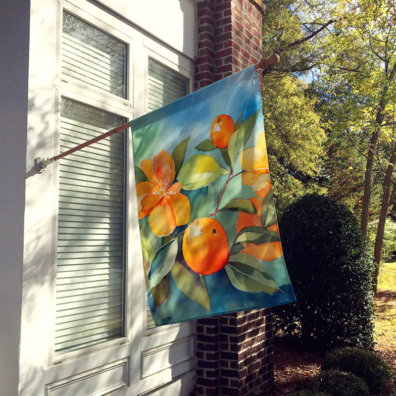 Drapeau de maison en polyester à double face H 40 po x l 28 po