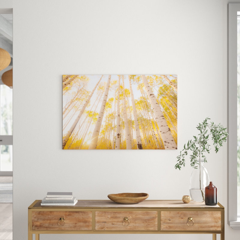 Colorado by Dan Ballard - Print on Canvas, Wrapped Canvas, 101.6 cm H x 66.04 cm W x 1.91 cm D