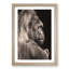 Silverback Gorilla in Abstract - Picture Frame Graphic Art Print-55764656-55764657