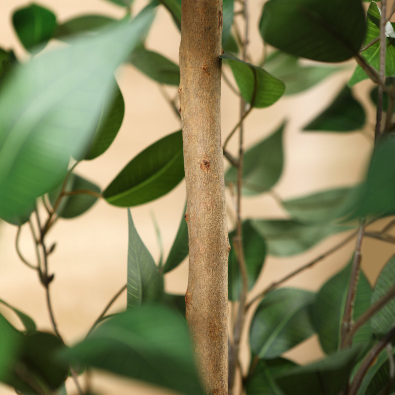 Ficus artificiel Adcock en pot avec des feuilles réalistes et un tronc naturel, H 59 po x l 15 po x P 15 po