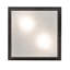 Monaca 2 - Light Flush Mount