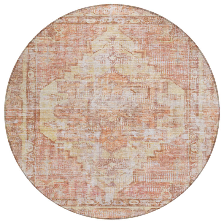 Machine Washable Indoor/Outdoor Xhevrie Terracotta Rug