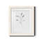 Croquis floral - reproduction de cadre photo sur papier-323769394-323769403