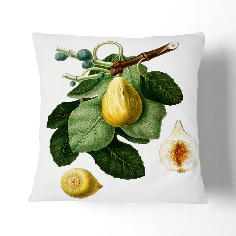 A Common Fig Tree Square Throw Cushion, 55 x 55 cm