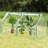 36.25' W x 71.15' D Hobby Greenhouse