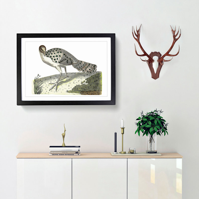 Thibetian Peacock by George Shaw - Framed Print, Black Framed, 27cm H x 36cm W x 2cm D