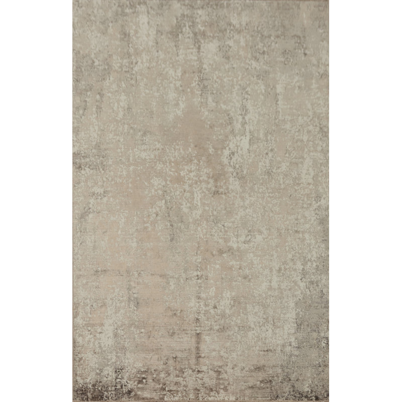 Tapis moderne d'aspect vieilli 5 x 7