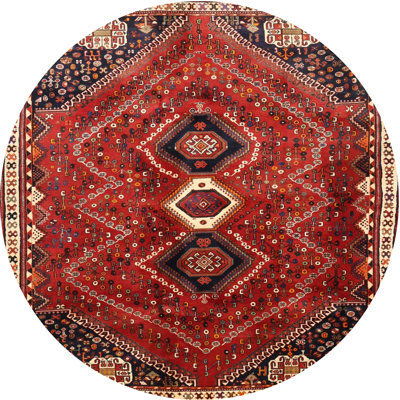 Oriental Indoor Rug
