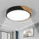 Eulane 1-Light 30cm LED Flush Mount Ceiling Light