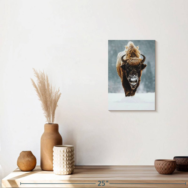 Impression sur toile Winter Buffalo, H 12 po x l 8 po x P 1 po