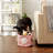 Tucker Murphy Pet™ Fabric Decorative Bin-2073612719-2073612718