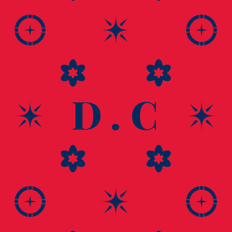 Coussin 14 pi x 10 po DC, Rouge / bleu / bleu / DC