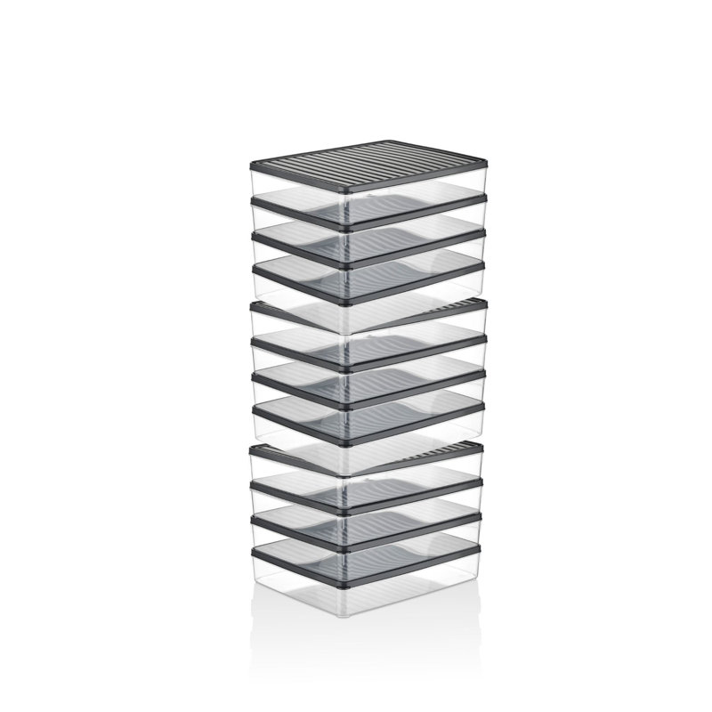 Ensemble de boîte de rangement durable (12 pièces), 10,8 x 2,0 x 8,9 pouces | 100% plastique, va au lave-vaisselle | Parfait pour organiser la maison, le bureau et l'artisanat, conception peu encombrante pour un rangement facile