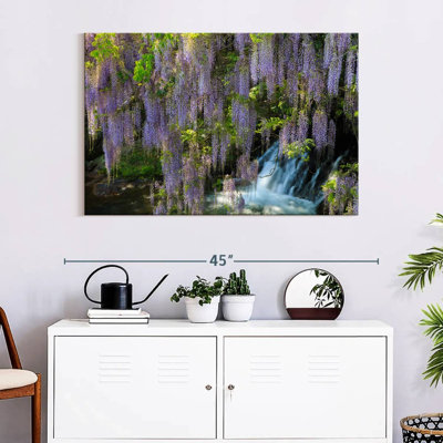 Harnek Wisteria Cascade