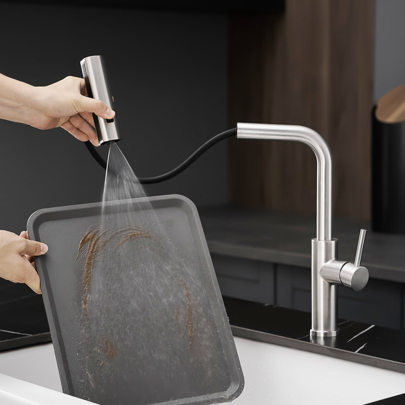 Robinet d'évier de cuisine en nickel brossé avec douchette extractible, touche moderne, robinet pivotant à 360 ° pour la salle de bain et le lavabo, douchette, barre à un trou