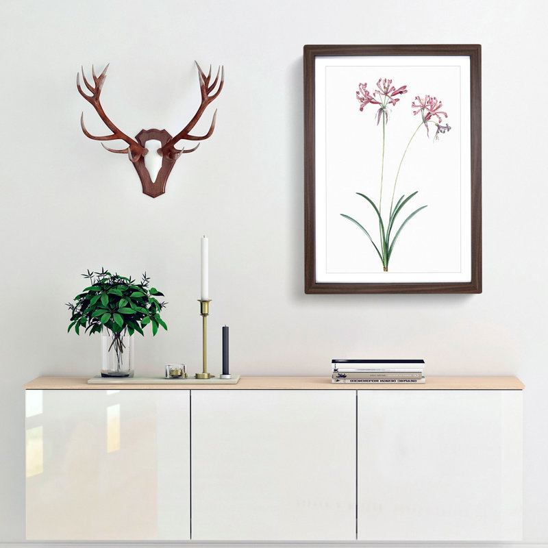 Nerine Lily Flowers by Pierre-Joseph Redoute - Framed Print, Walnut Framed, 48cm H x 36cm W x 2cm D