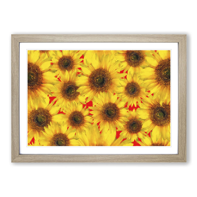 Wall of Yellow Sunflowers - Picture Frame Graphic Art Print on MDF, Oak Framed, 45cm H x 63cm W x 2cm D
