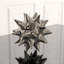 Urchin Shiny Silver Object-1635266304