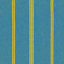 Blue/Yellow