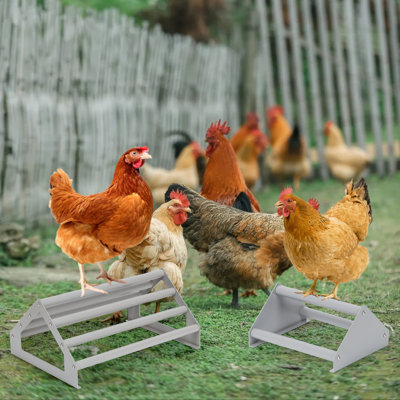 Waterproof Wooden Chicken Perch Stable Metal Frame Bird Play Rest Stand for Chicks Parrots