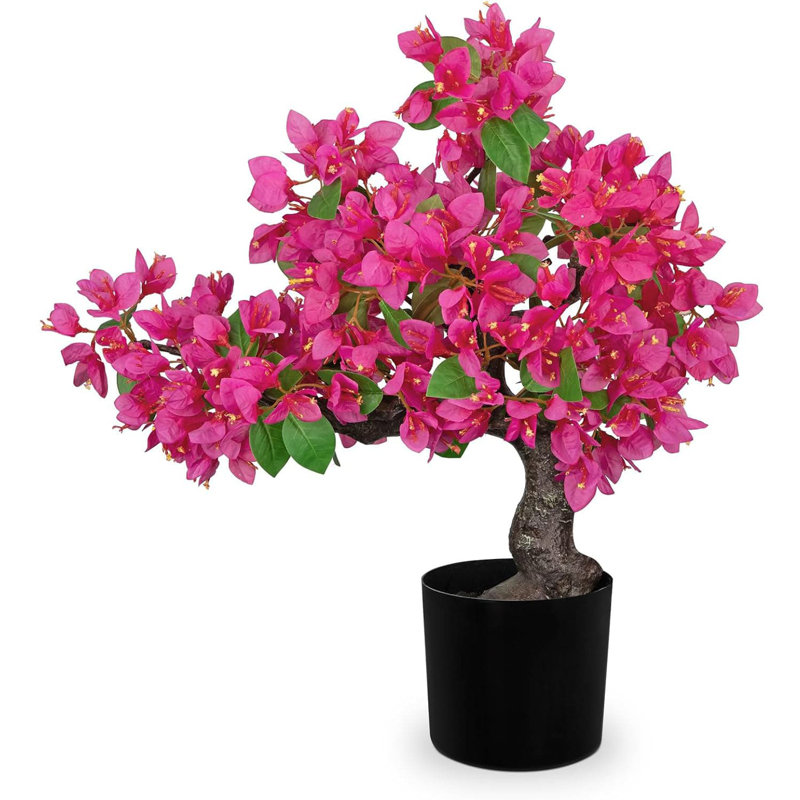 52.83cm Plant
