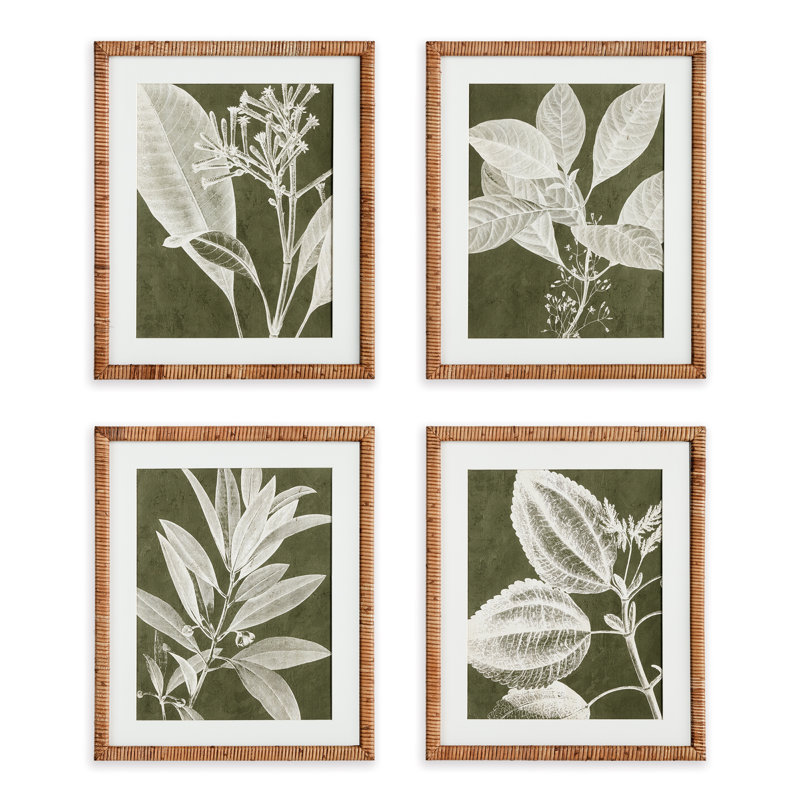 Imprimés de tiges translucides, ensemble de 4