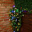 Tabor LED Solar Powered Fairy String Light-602223008-601644375