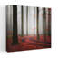 Misty Autumn Forest Path Dreamy Mystical-538829599
