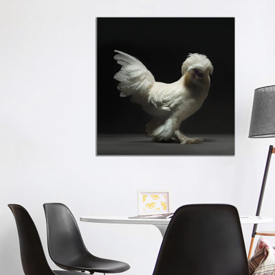 Sultano - Wrapped Canvas Print