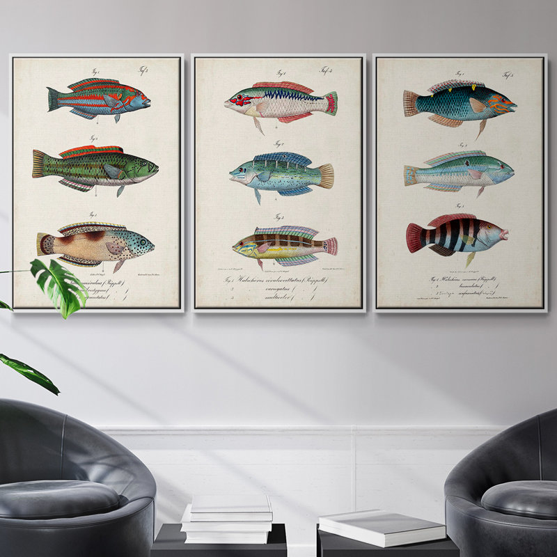 Antique Fish Trio I, ensemble de 3 toiles encadrées sur toile, Blanc, H 36 po x l 72 po