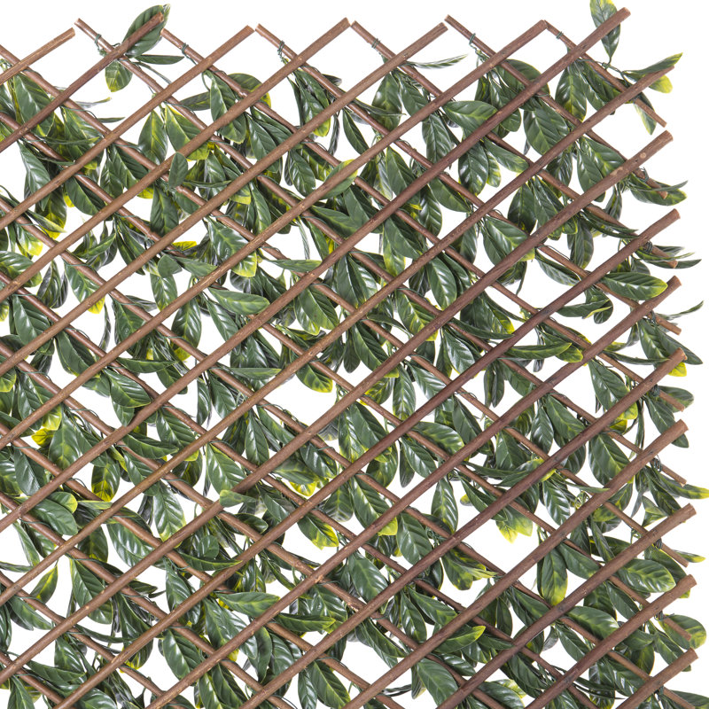 Madchen 200cm H x 100cm W Vinyl Expanding Trellis