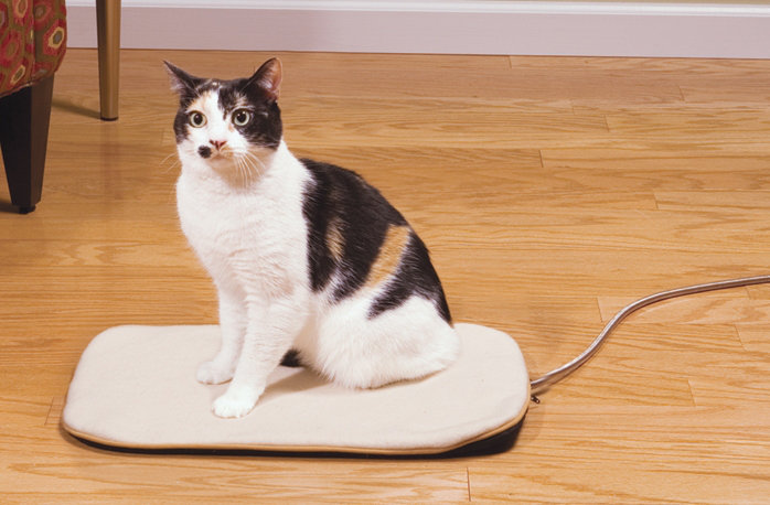 Heated Pet Pad, Small Dog