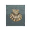 Seashell C Print by Sarah Atkinson-26931713