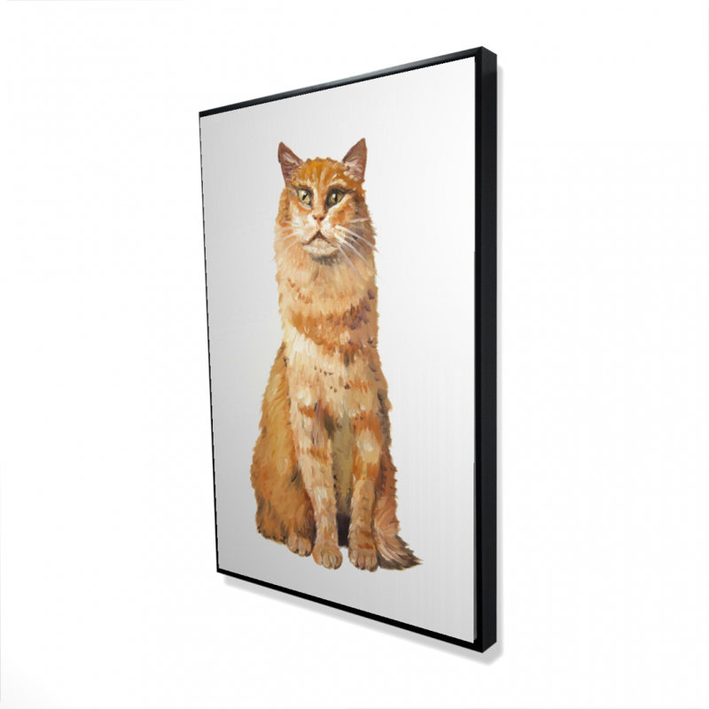 «Ginger Cat»