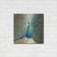 " Blue Peacock " by Danhui Nai-1524790395