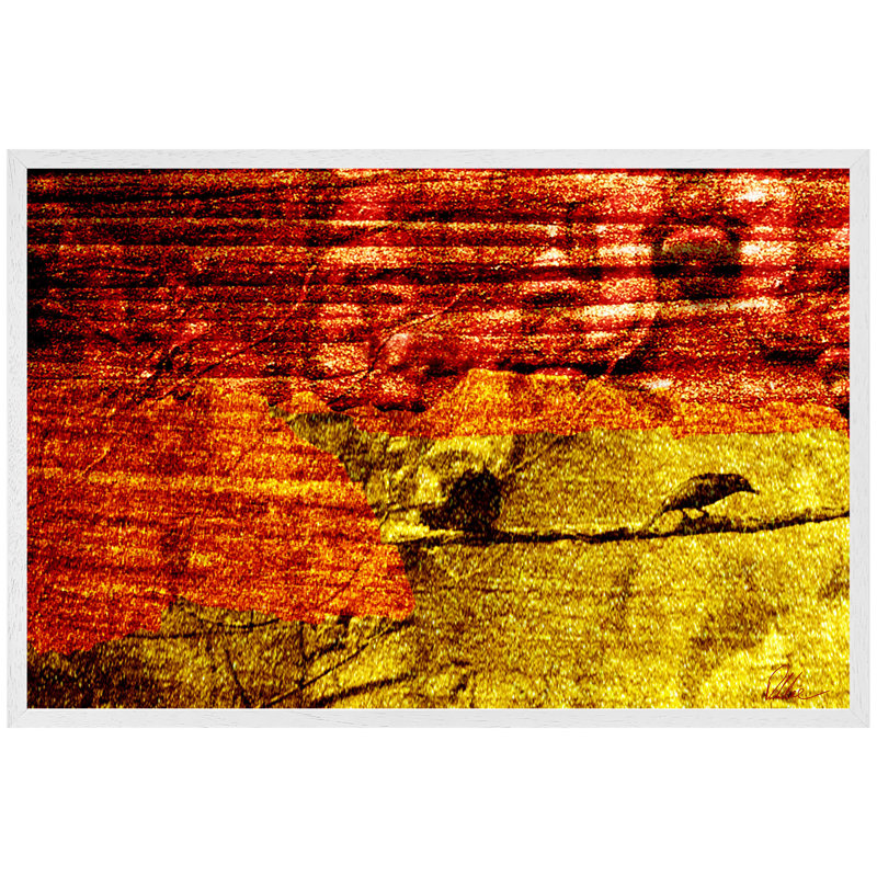 Single Picture Frame Print, 41cm H x 61cm W x 4cm D, White