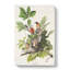 American Robins by John Audubon - Wrapped Canvas-55368732